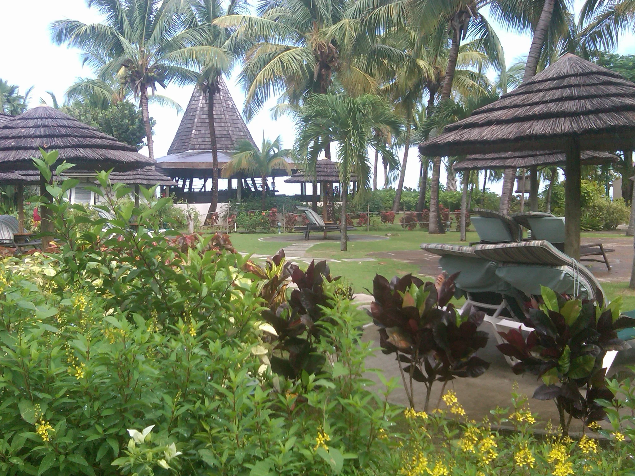 IMG00191-20111012-0935.jpg