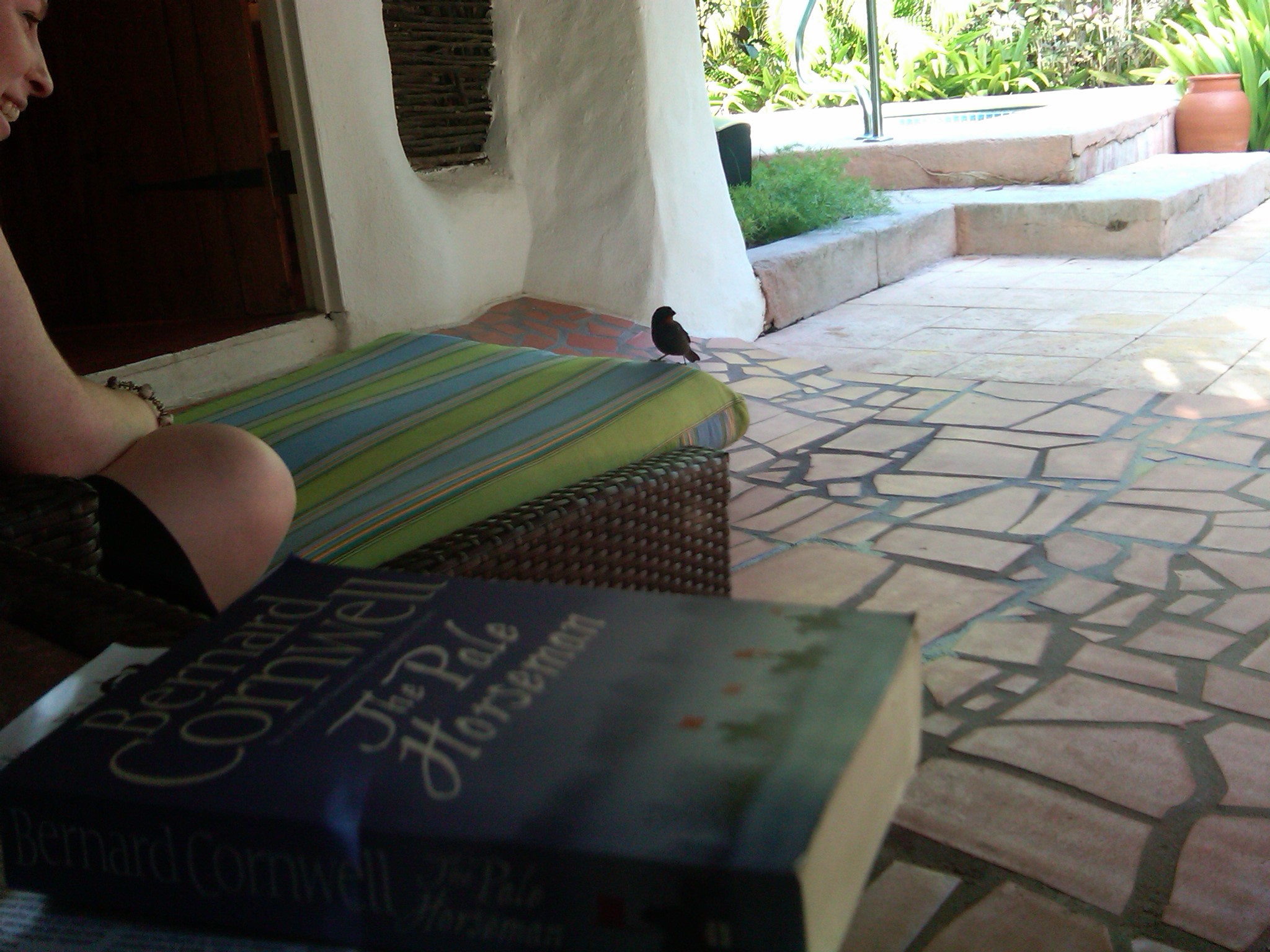 IMG00196-20111012-1539.jpg