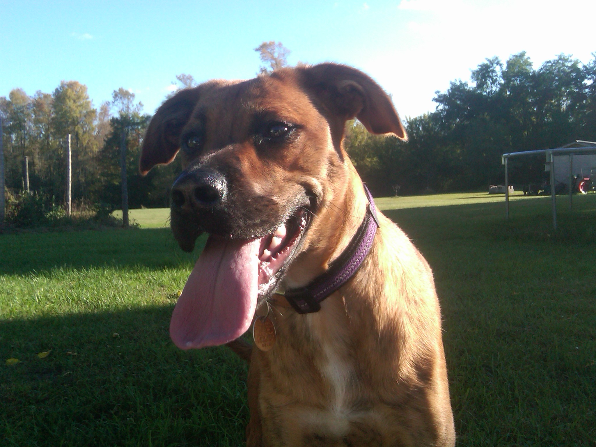 IMG01420-20140926-1644.jpg