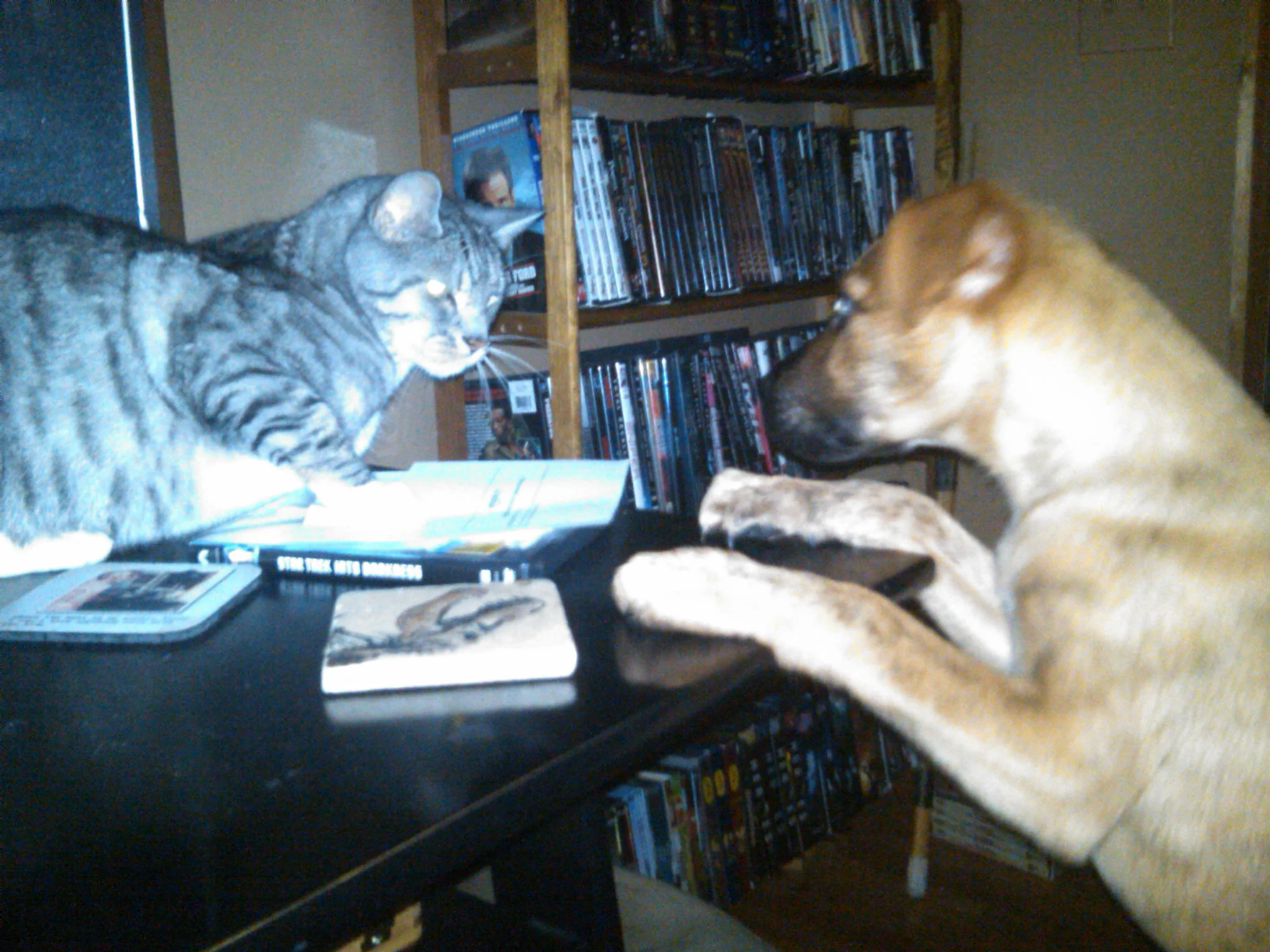 IMG01006-20130919-1914.jpg