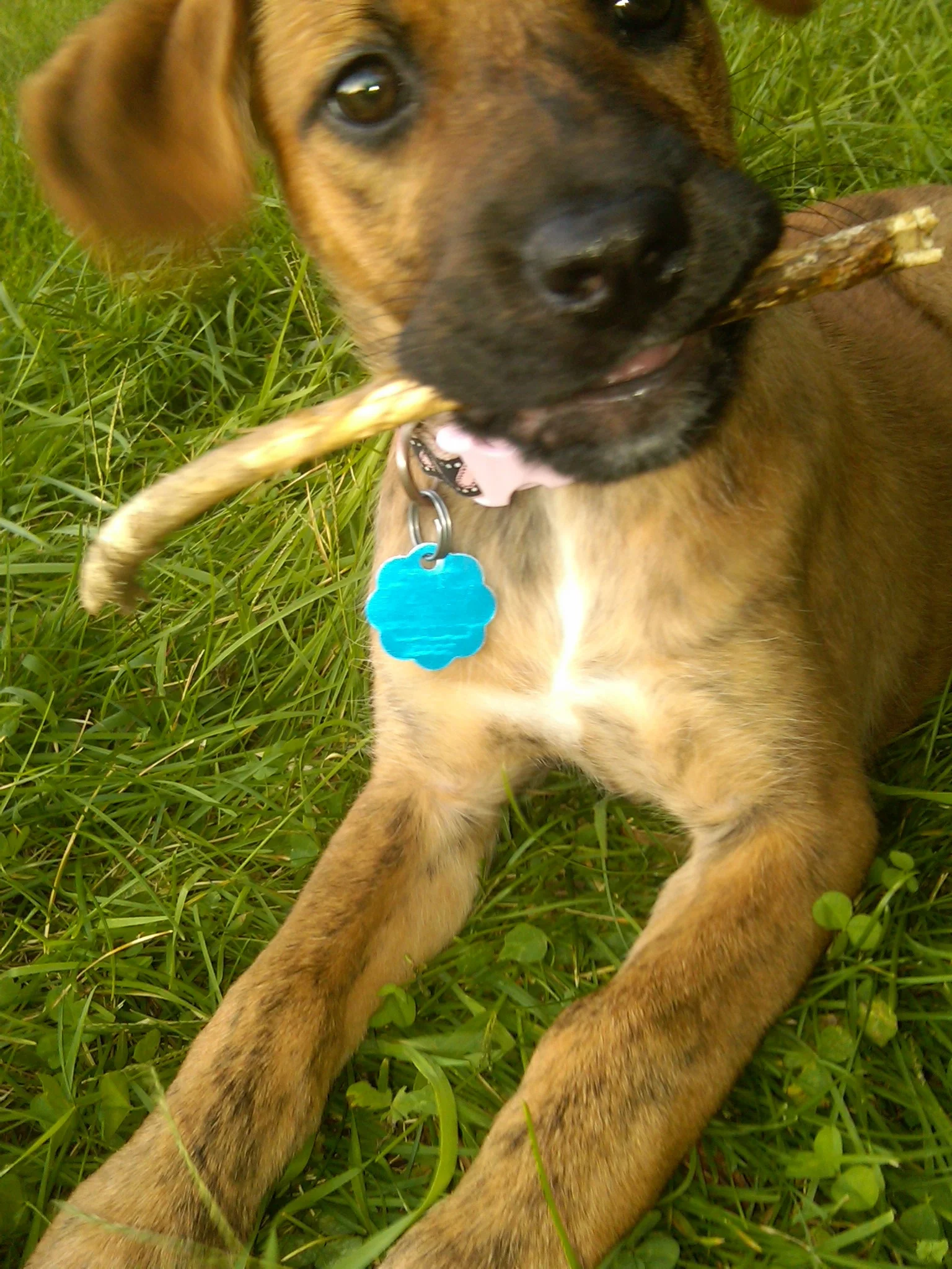 IMG00914-20130909-1847.jpg