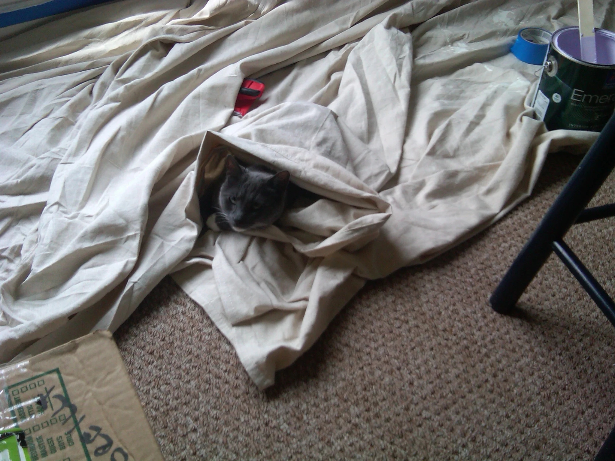 IMG00766-20130602-1444.jpg