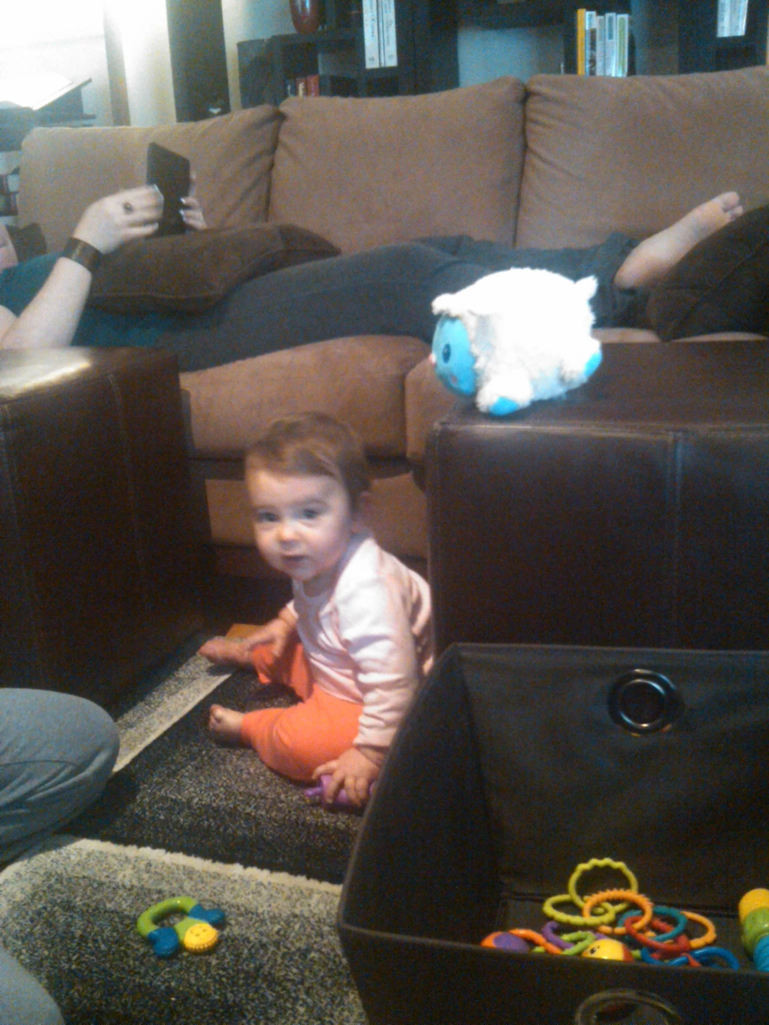 IMG01241-20140225-1142.jpg