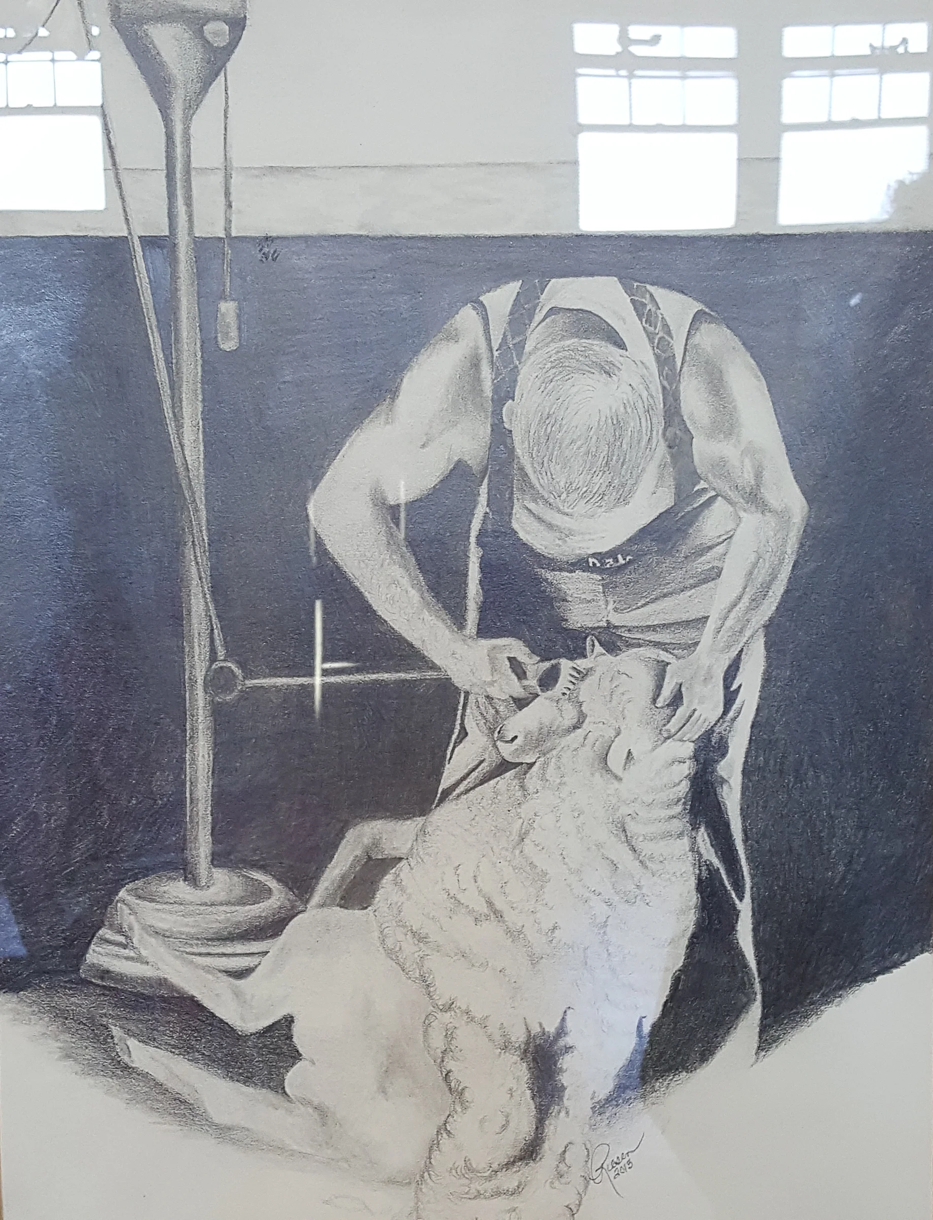 Nancie Riesen, Marvin , graphite, 2013