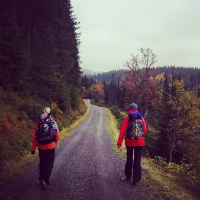 Walking and walking
