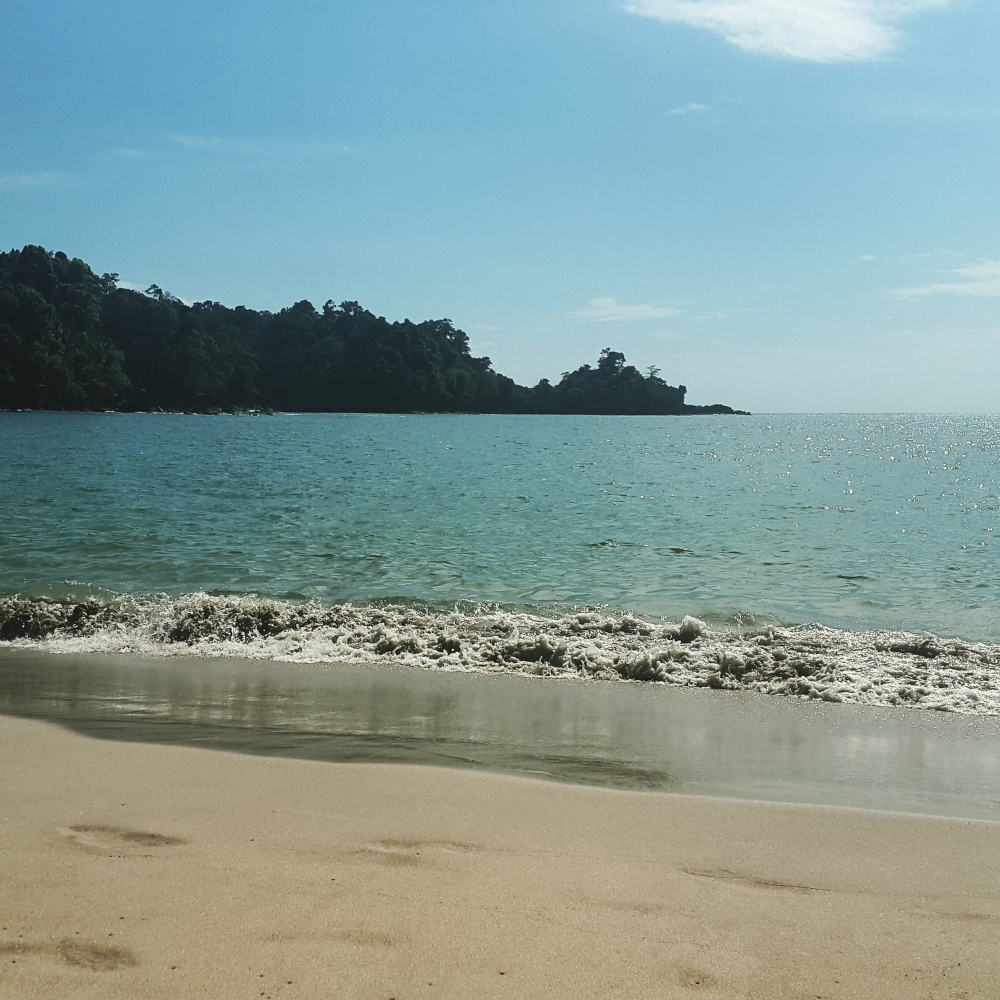 The beach inside Manuel Antonio National Park