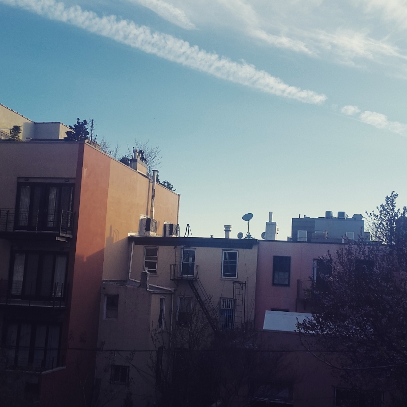 Williamsburg apartment back yard view