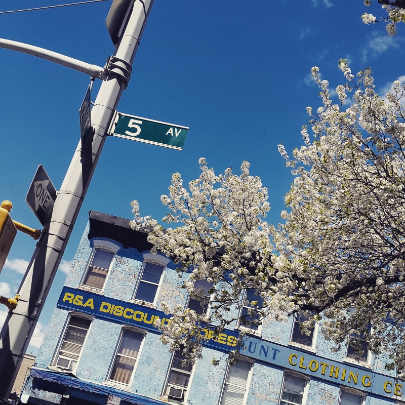 In Park Slope, Brooklyn
