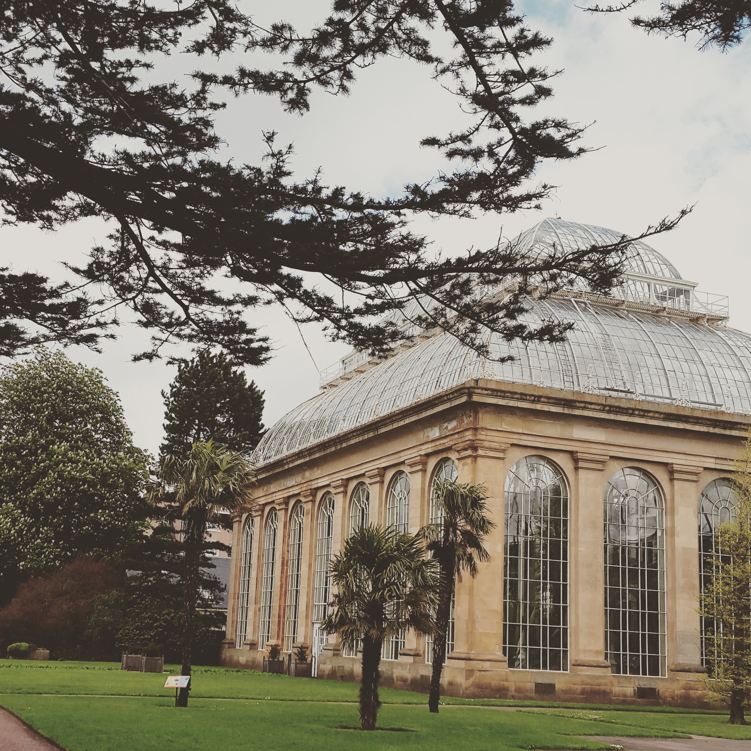 The Botanical garden