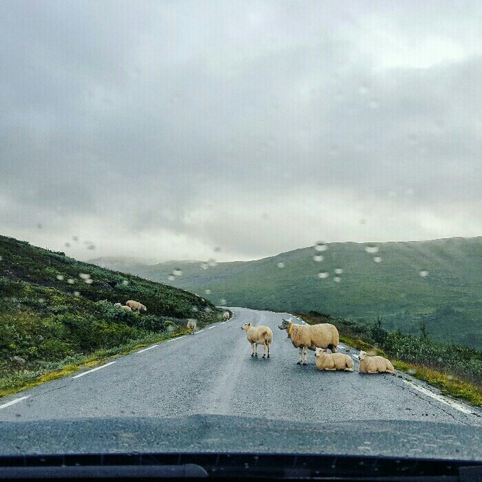 On the road in Norway 