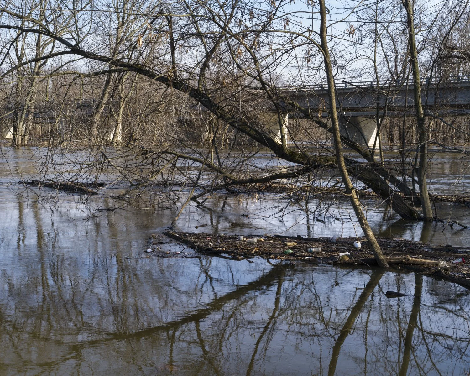 Flood water debris during the spring snow melt, Allendale 2014