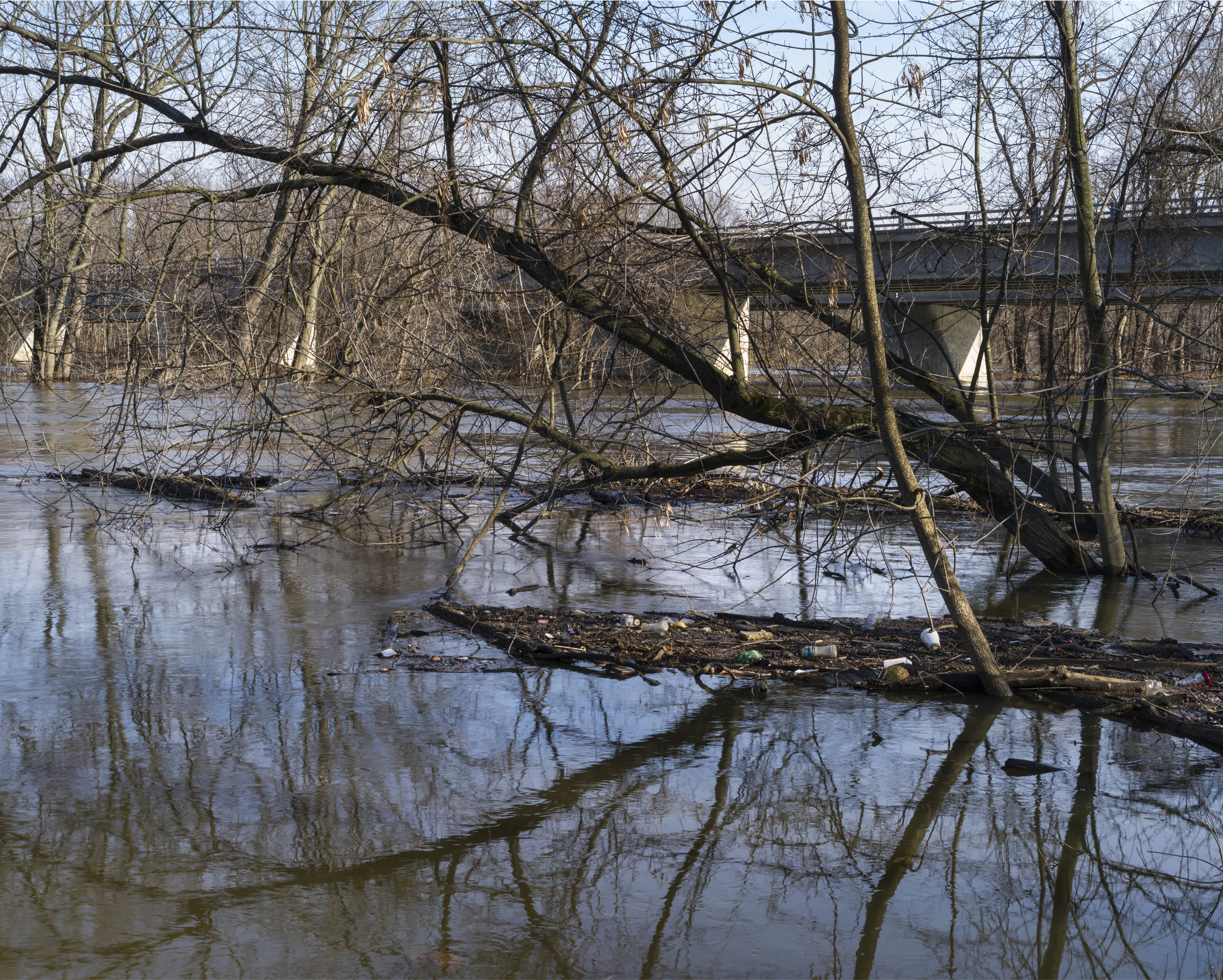 Flood water debris during the spring snow melt. Grand River at M45 in Allendale, MI 2014
