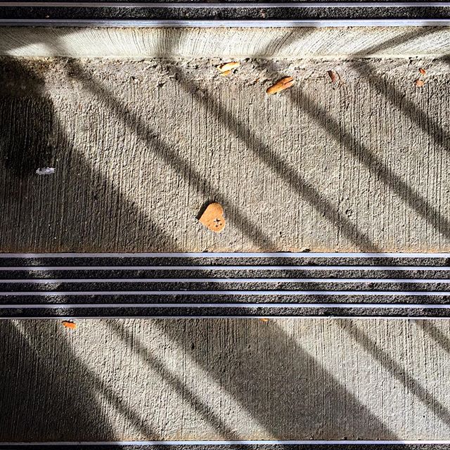 I love the things I see when looking down. Reminds me there is #magic everywhere. #heart #walkyourcamera #melodrama #light #qualityoflight #sunlight #stairs #grandrapids #grandrapidsmi #experiencegr #lightandshadow #shaddow #nateabramowski #latefall 