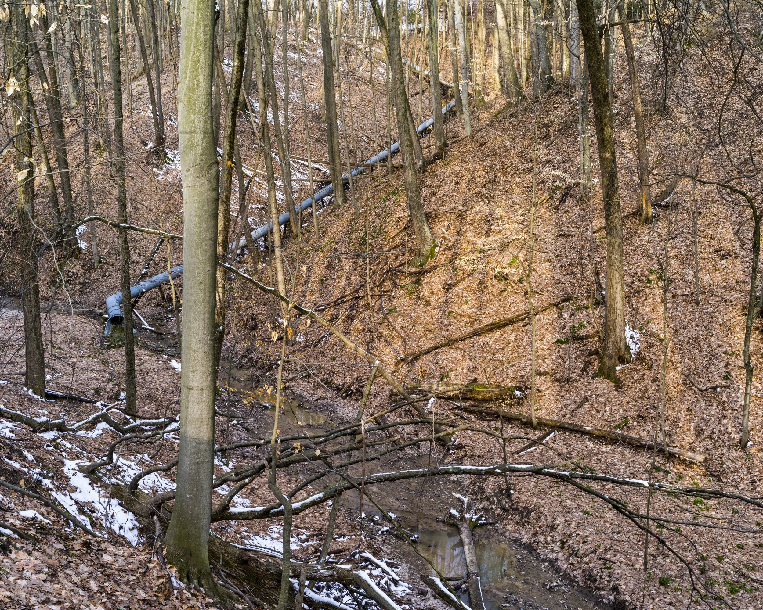 Storm water runoff. Grand Valley State University, Allendale, MI. 2014