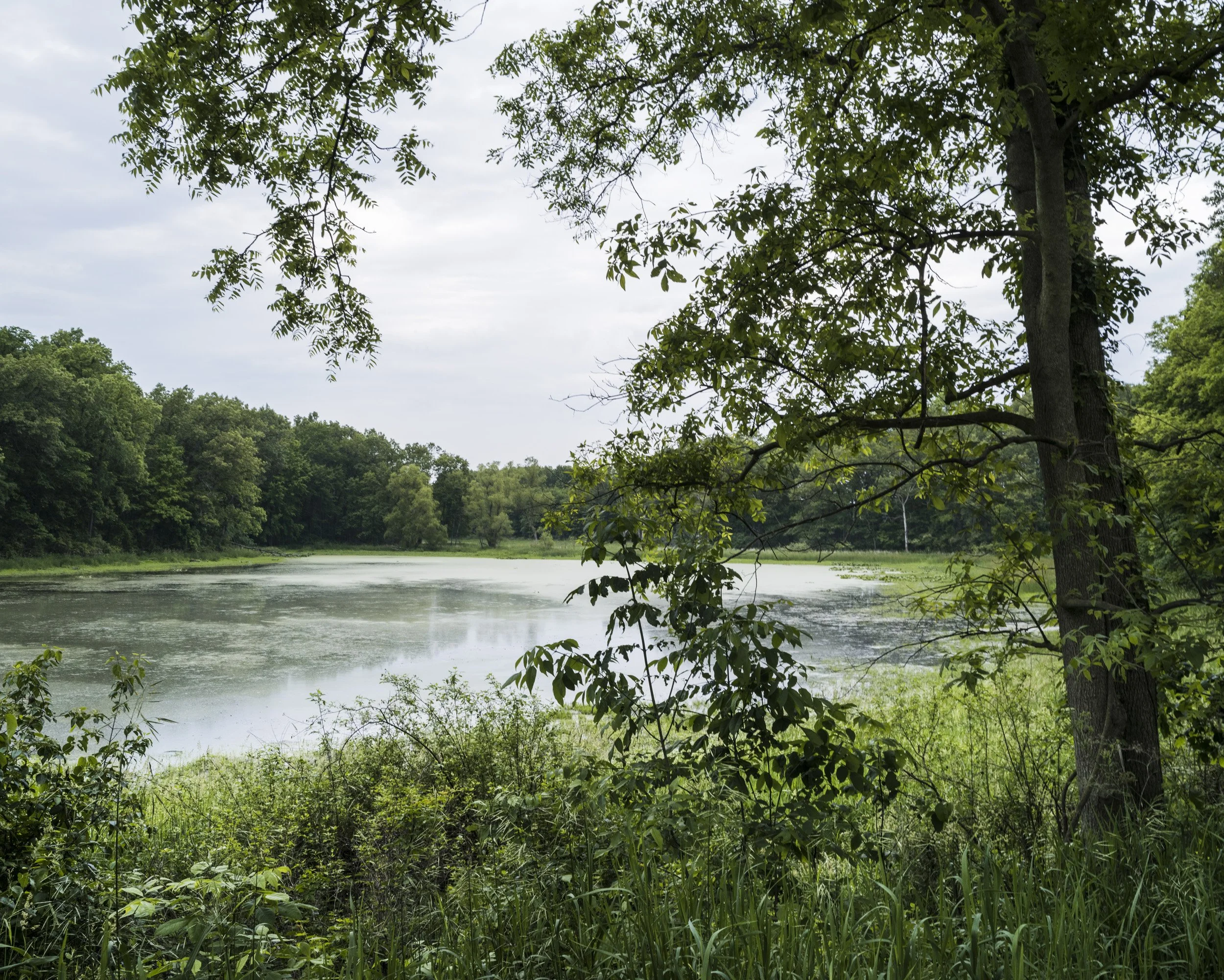 2015-06-11_P_IMG2431 as Smart Object-1_RDG__rutter.jpg