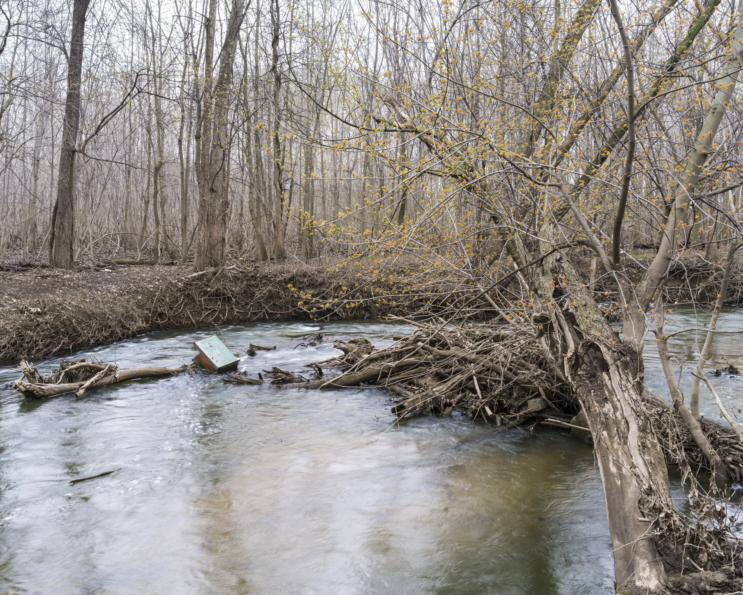 Early spring along Buck Creek in Grandville, MI. 2014