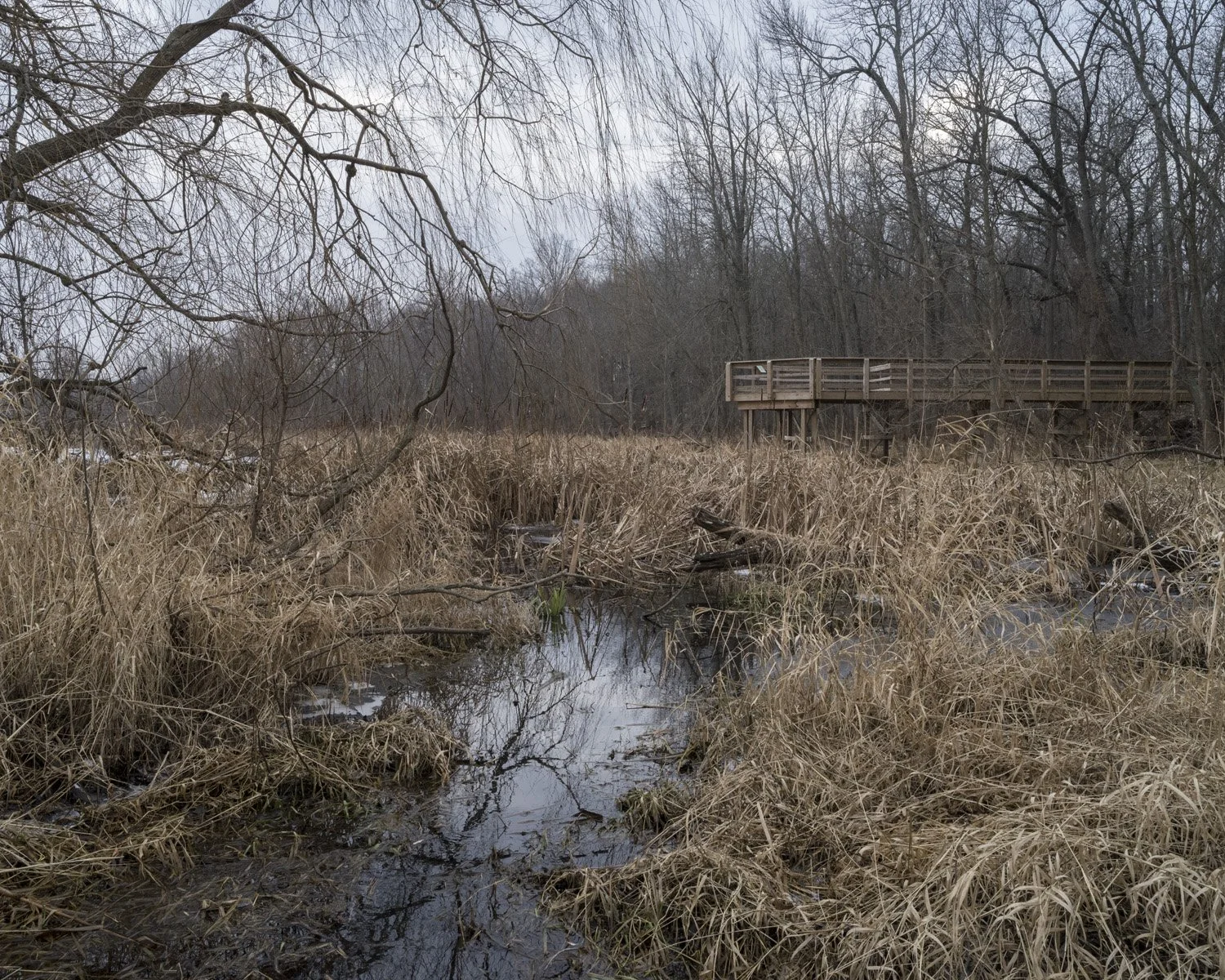 2014-12-22_Early Winter at Connor Bayou, Ottawa County 2014.jpg