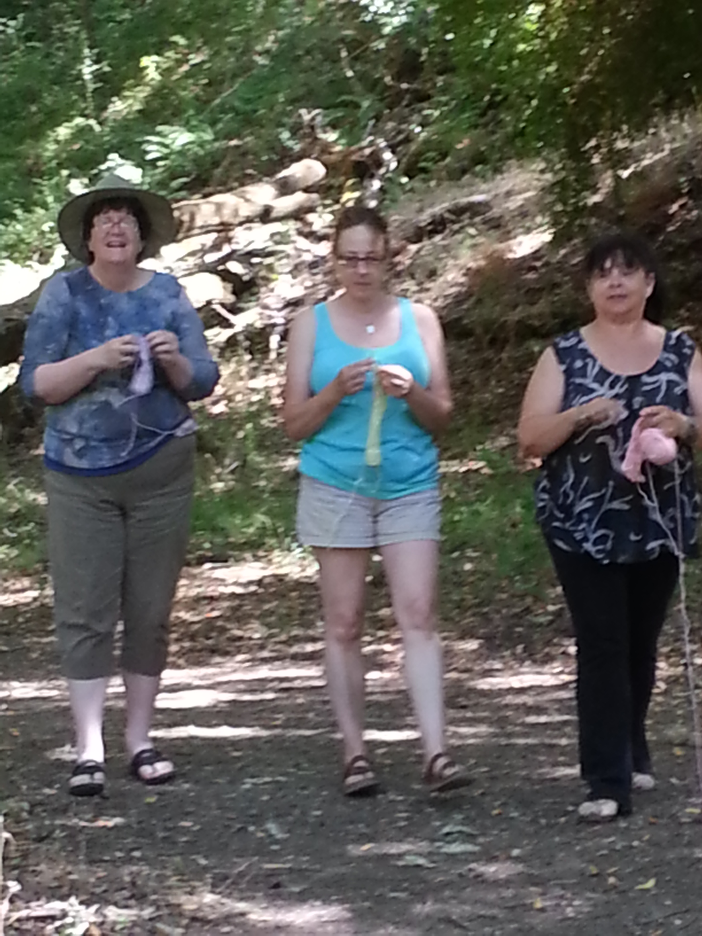The Marin Gals loving the forest as they walk and knit.
