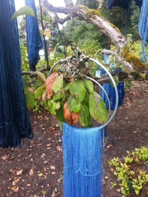 My lace weight Merino/silk hung to dry.