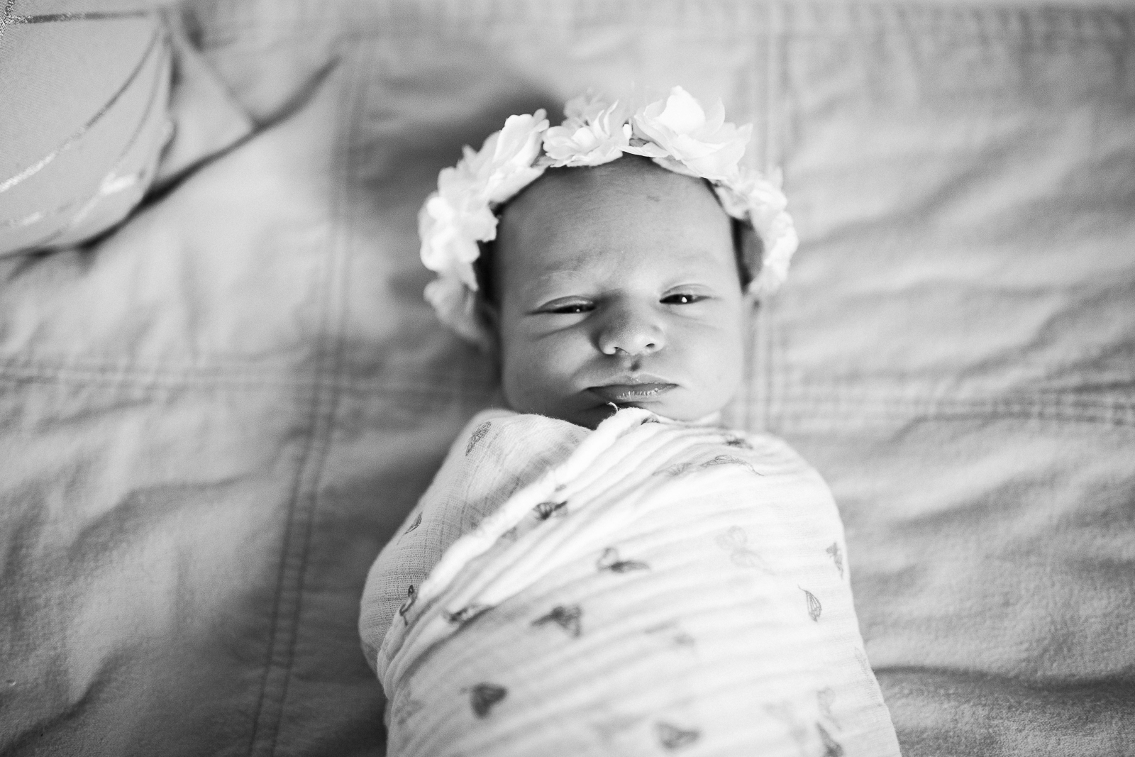 newborn blogs-16.jpg