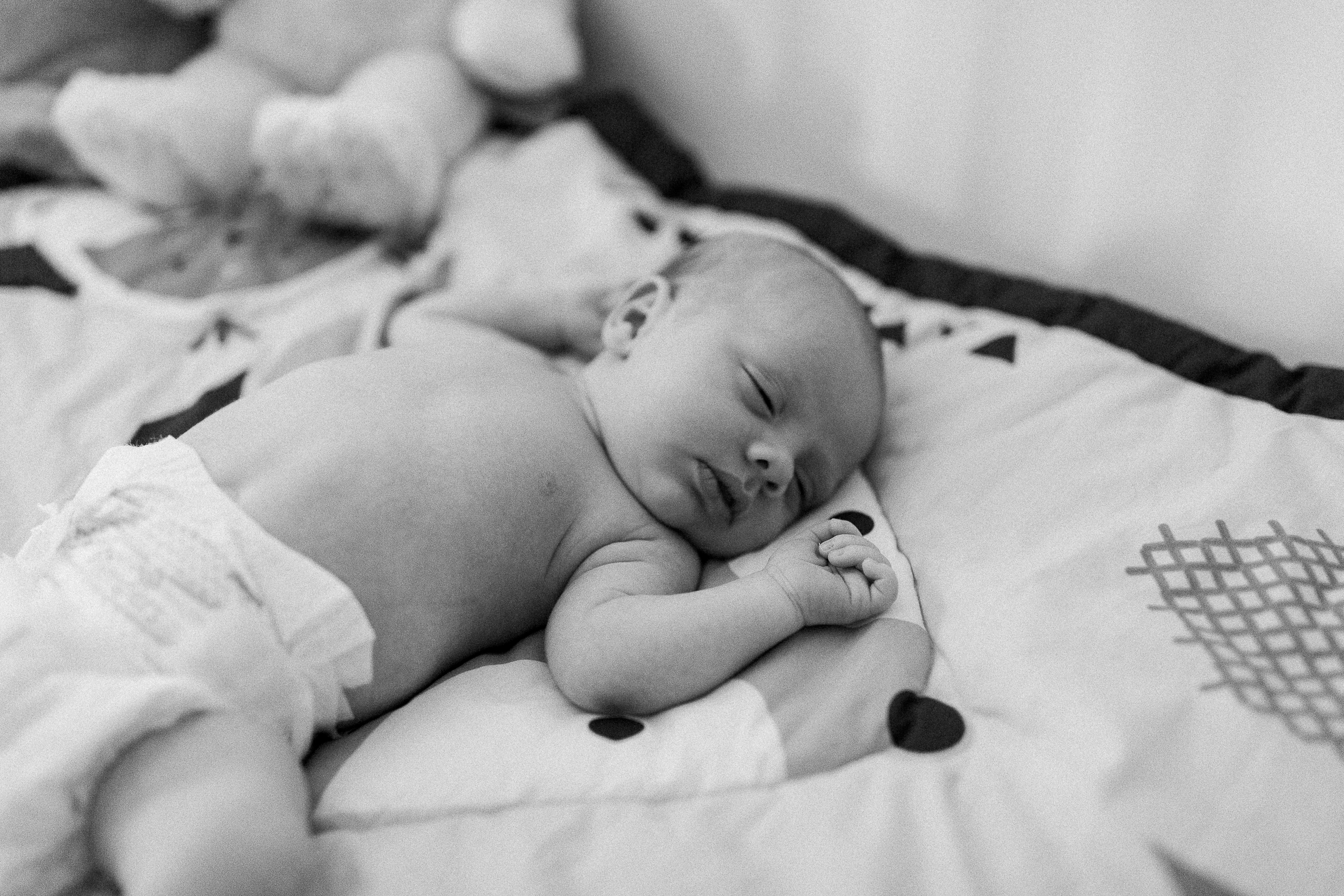 0008noah-st-johns-newborn-photographers.jpg