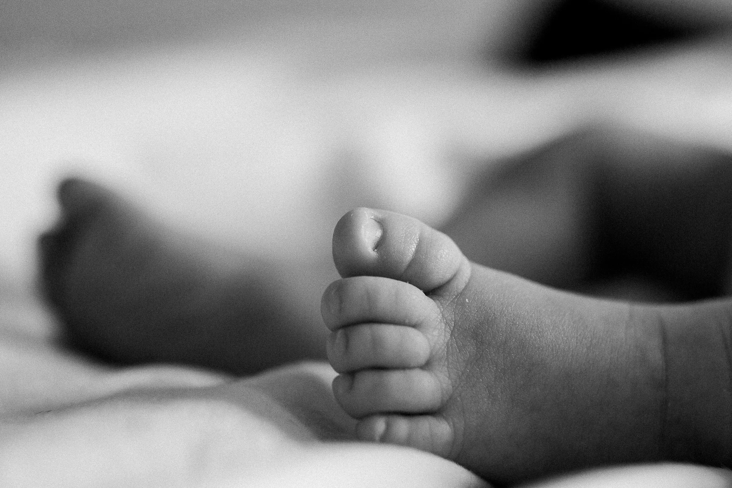 0036noah-st-johns-newborn-photographers.jpg
