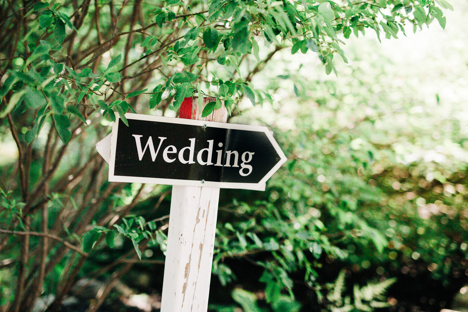 0002doctors-house-wedding-photographer.jpg