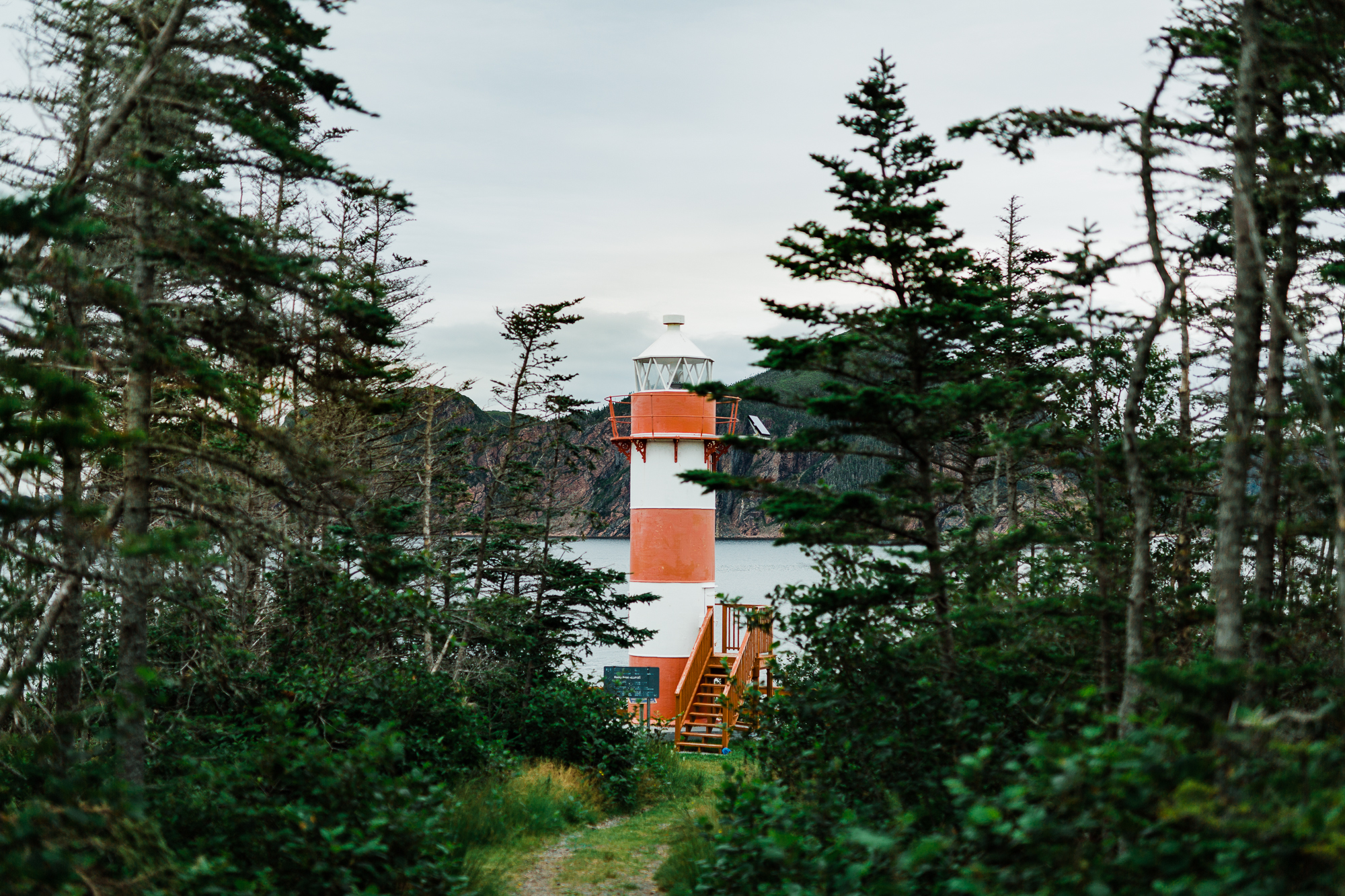 0065newfoundland-wedding-photographer-ally-ray.jpg