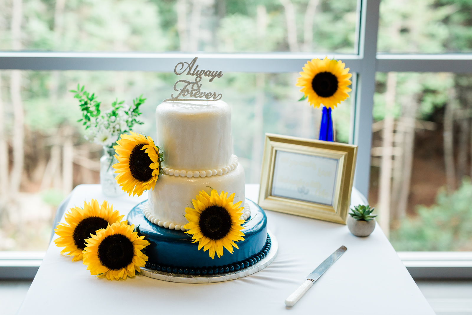 0064st-johns-newfoundland-wedding-photographer-manuels-river.jpg