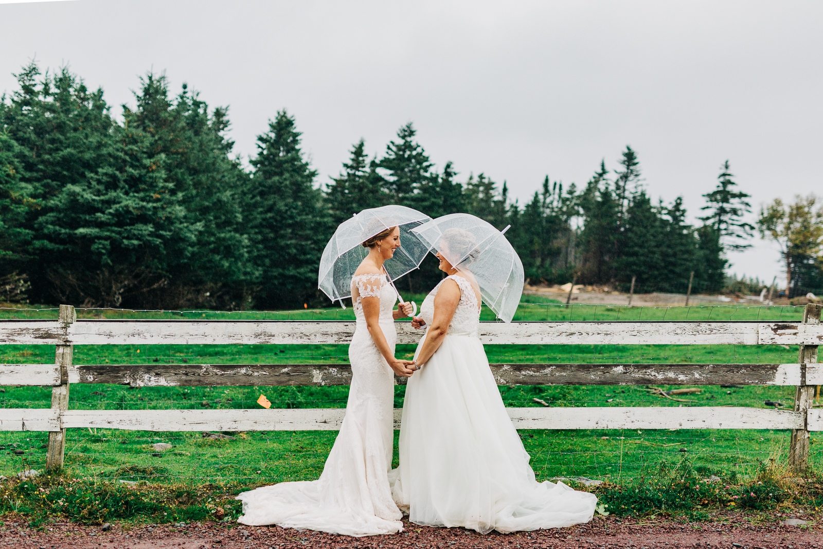 0066st-johns-newfoundland-wedding-photographer-the-doctors-house-lgbt.jpg