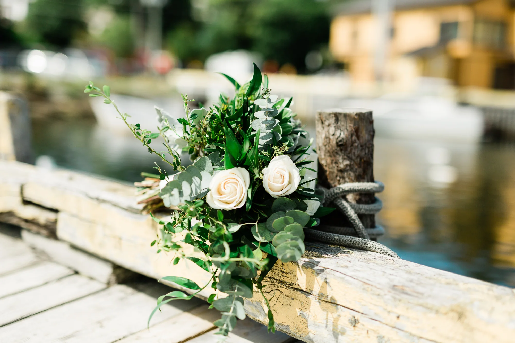 0045Stock2018_MaddieMillsPhoto.jpg