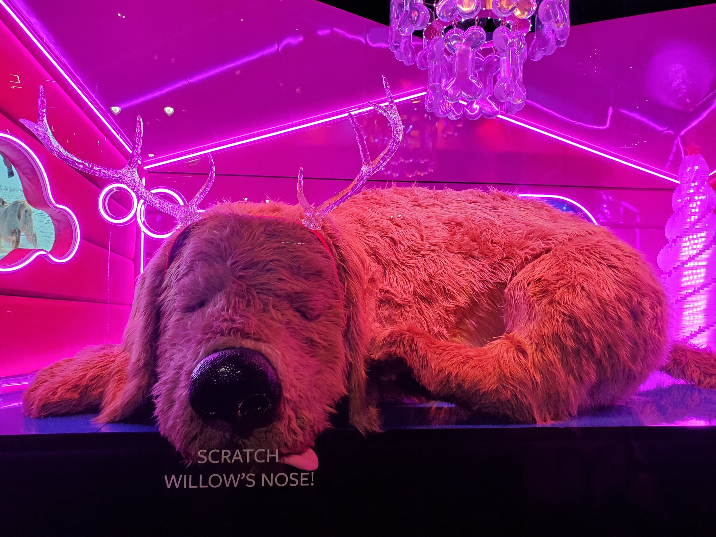 Golden Retriever - Willow ( 2' 2" x 6' 7")