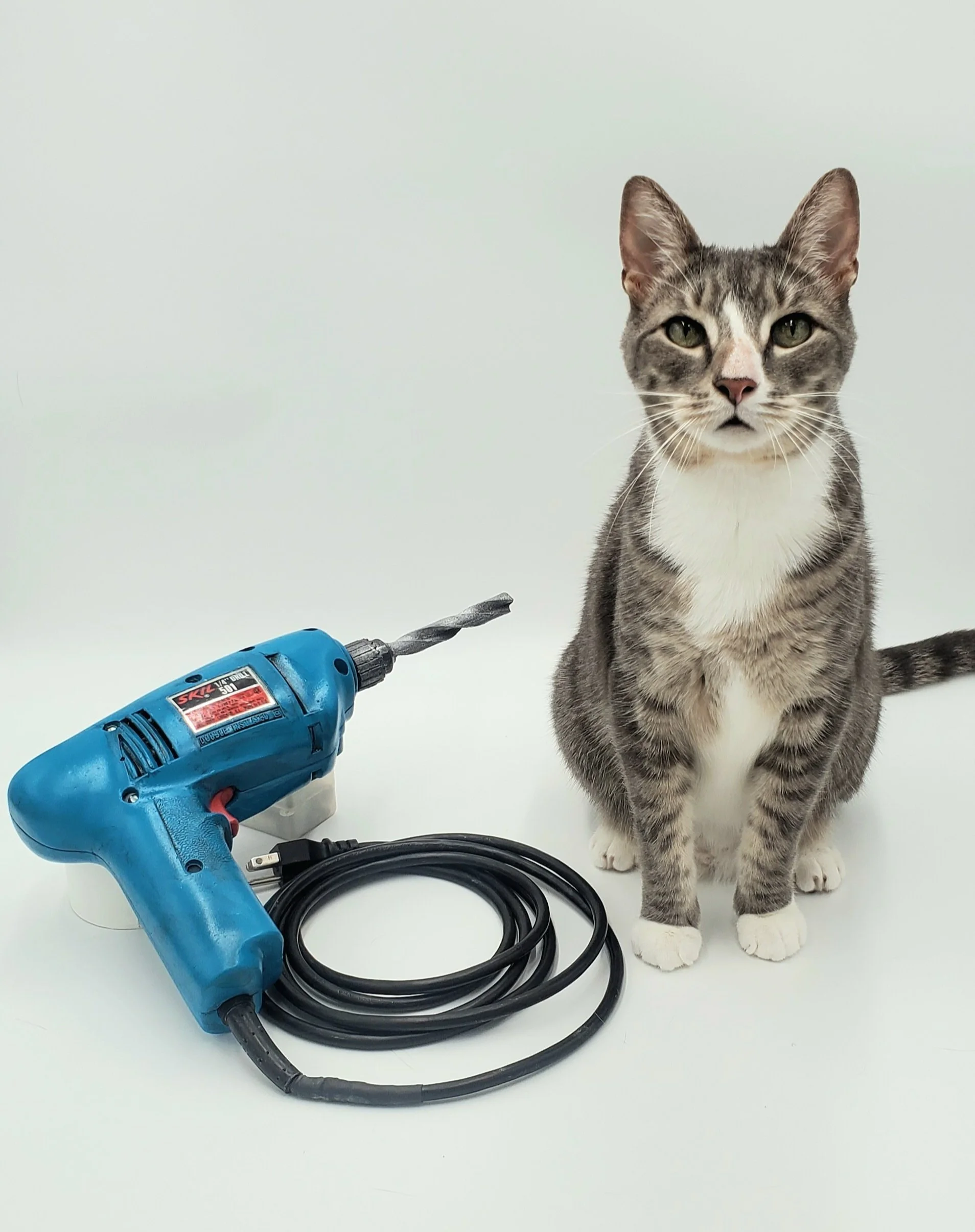 Pillo with drill.jpg