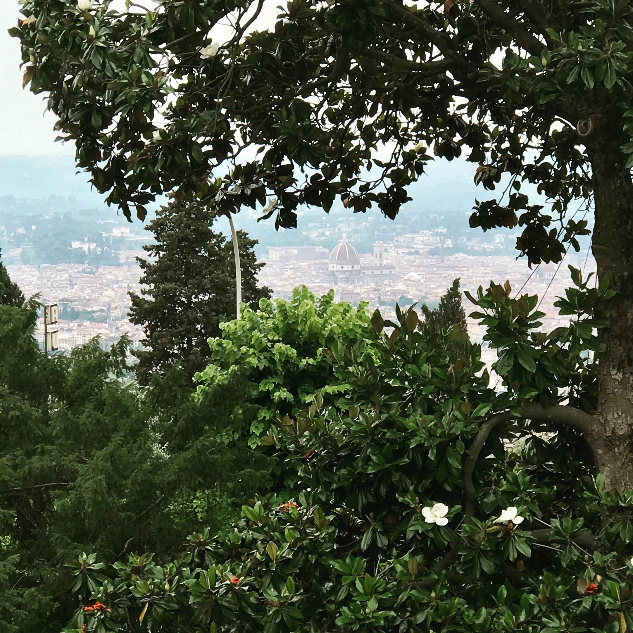 Looking at Florence from Fiesole