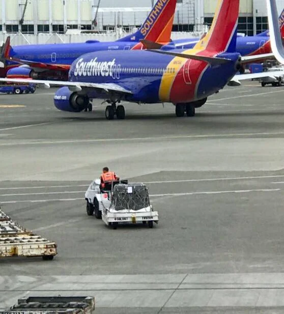 We happened to glance out the lounge waiting area at the exact moment Samantha's crate was being taken to the plane! (We flew Lufthansa, not Southwest - ha!) What do you suppose she was thinking...?