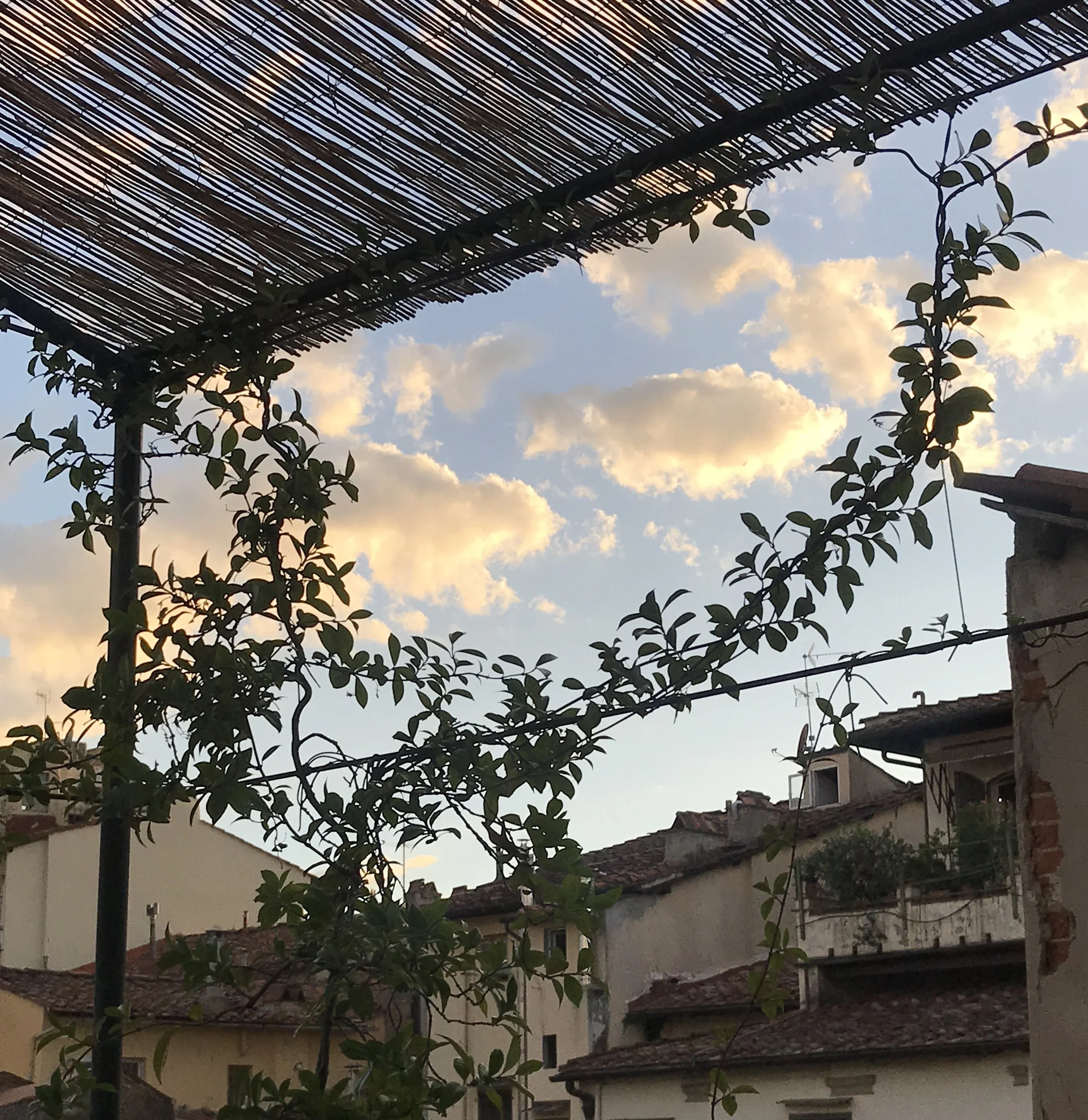 Sky from the terrace