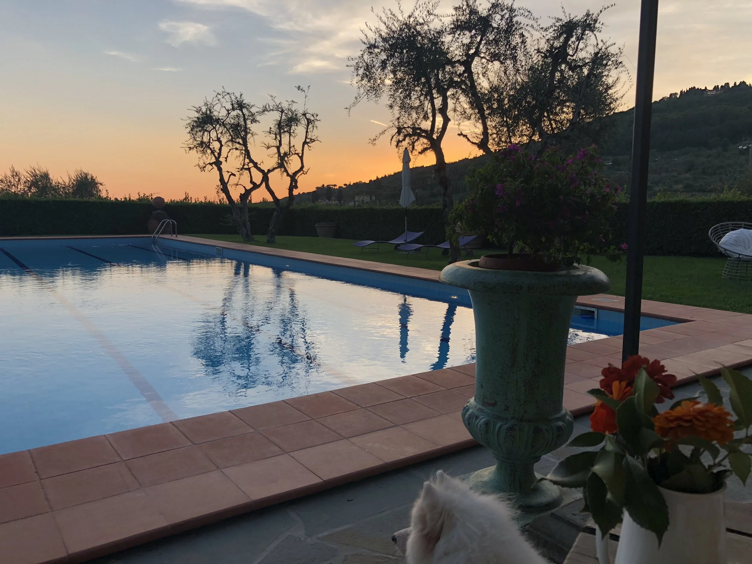 The serene pool at sunset - Borgo i Vicelli.