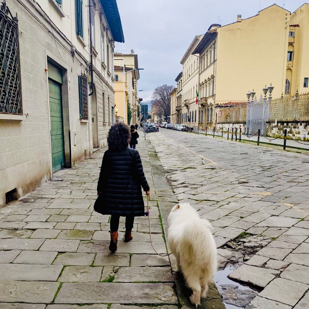 A February day in Florence, walking with Sammie. (📷 @minnott)