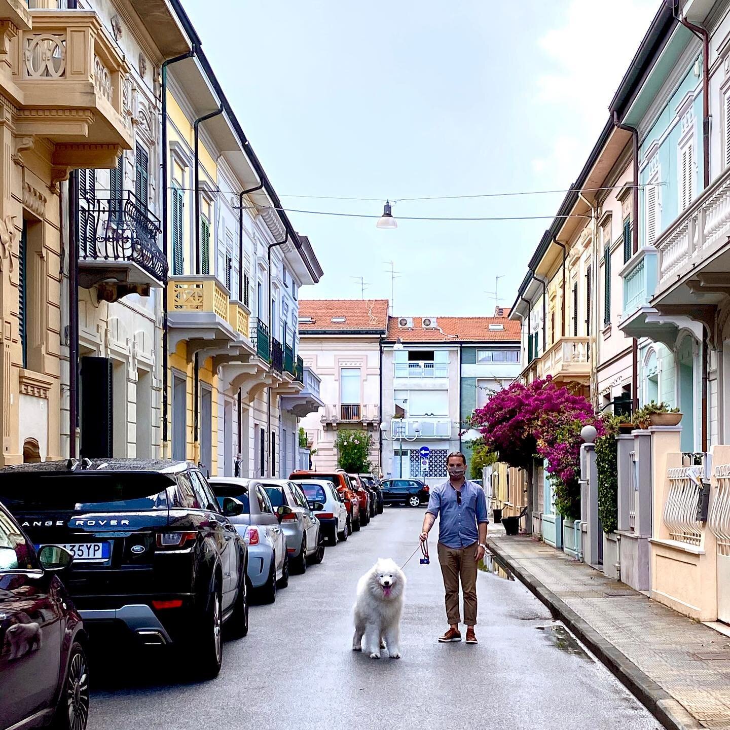 Nick joined us in Viareggio on day 10 of 15. Via IV novembre, just 2 blocks inland from the beach, is a riot of color:  gigantic bougainvilleas and Oleander TREES!  It&rsquo;s thrilling to see such color as well as charming architecture.