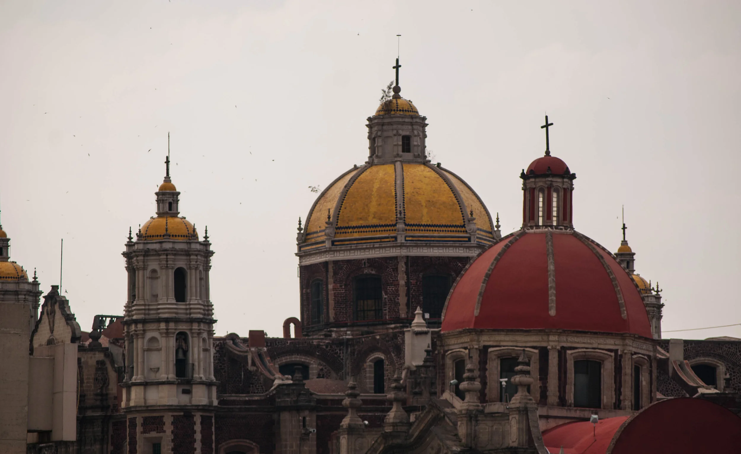 DSC_2825.jpg