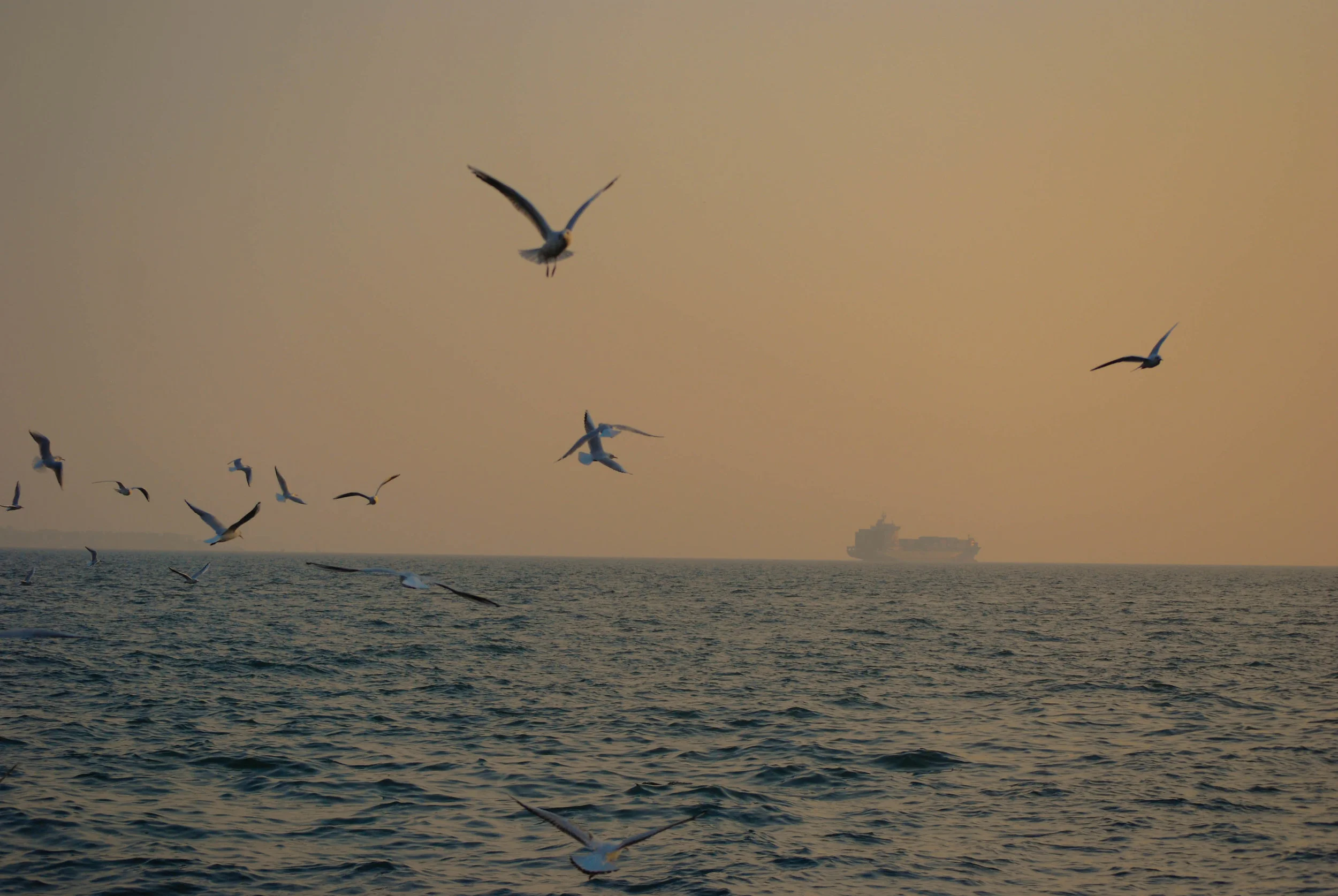 DSC_4552.jpg
