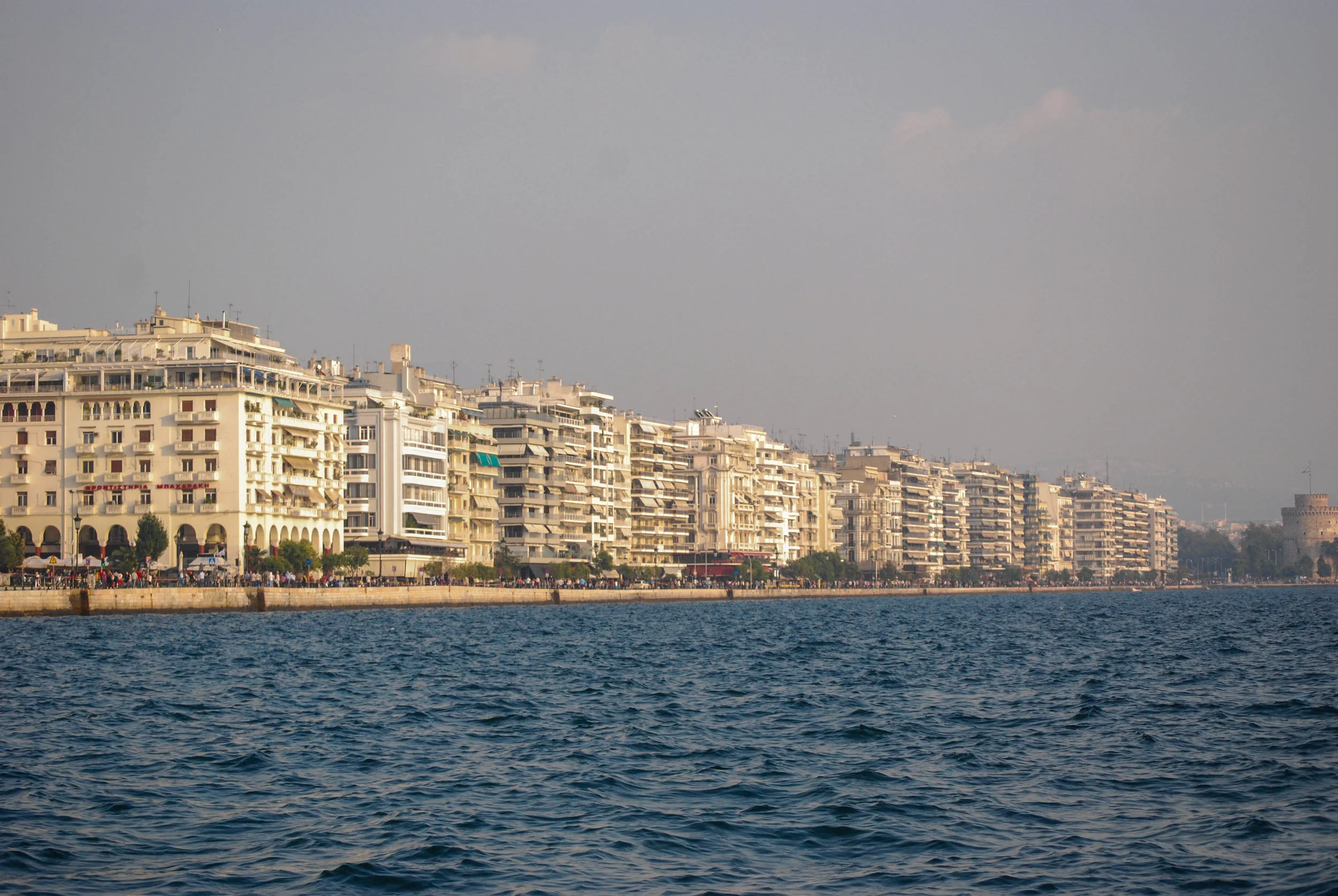 DSC_4517.jpg