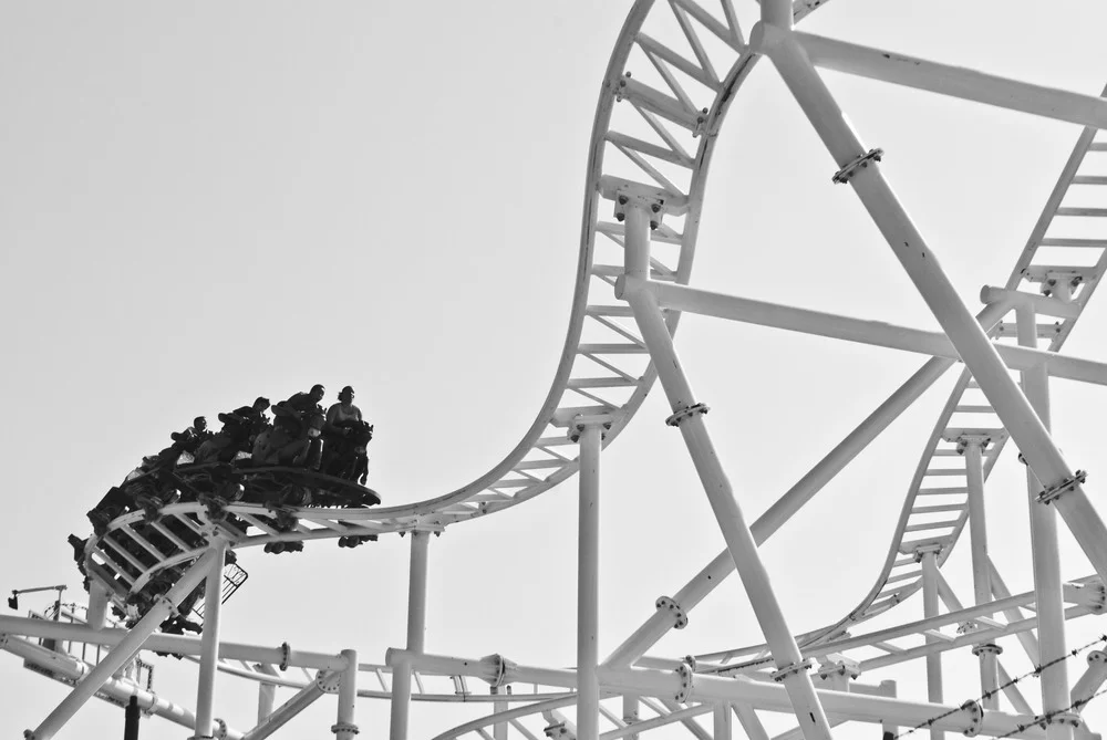 DSC_1081_1.jpeg