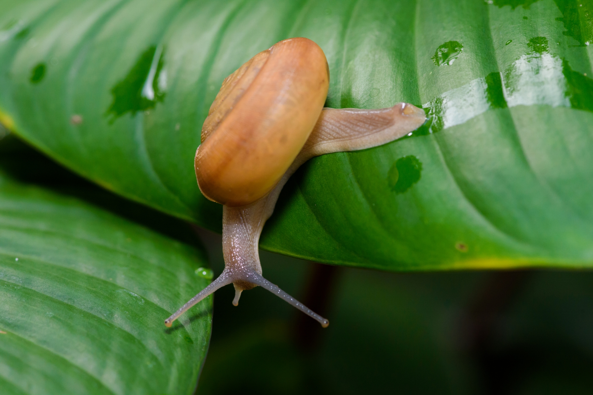 Photo by Ko01/iStock / Getty Images