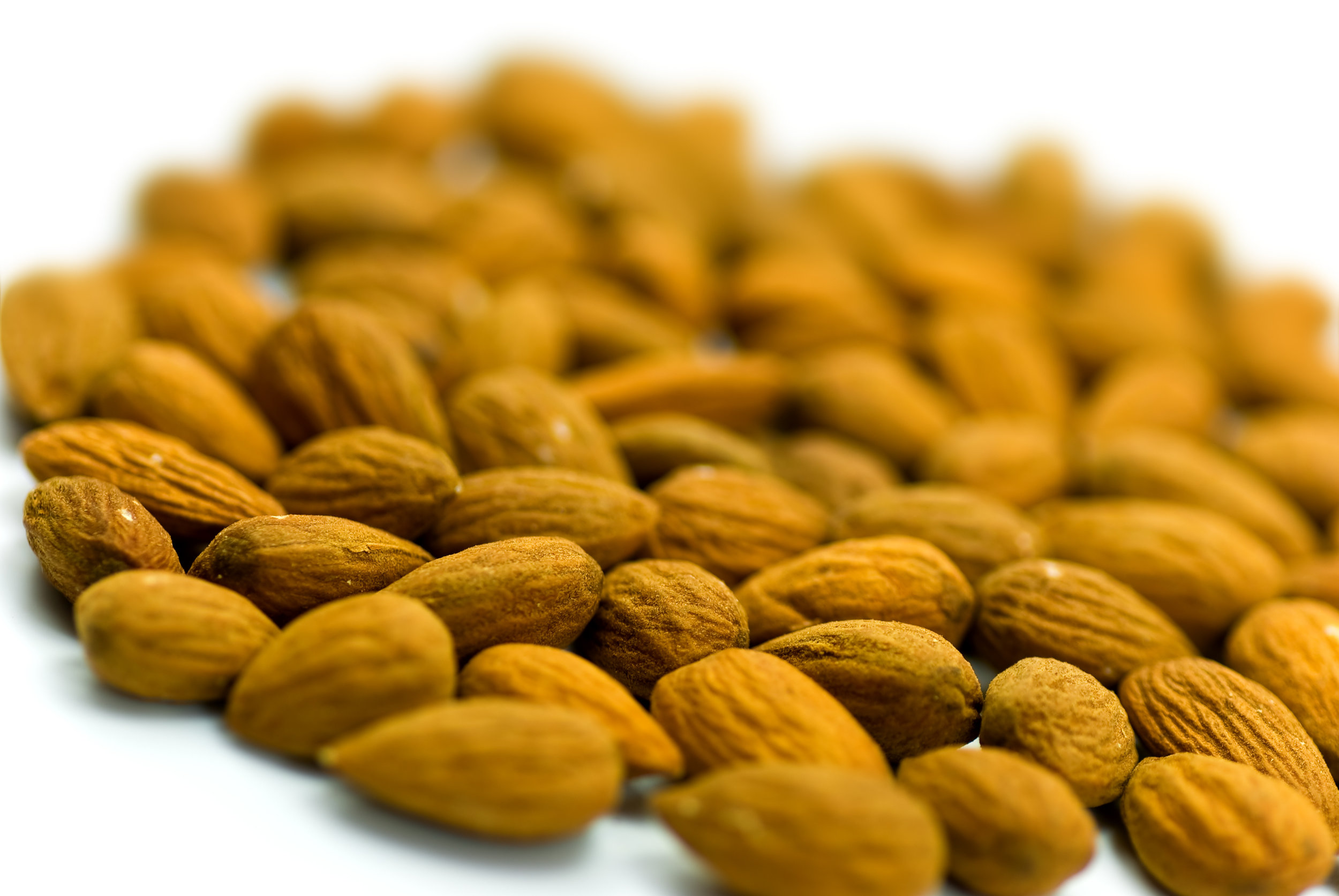 AdobeStock_12153376.jpeg