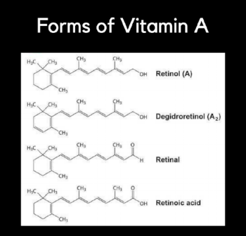 Forms of Vit A.png
