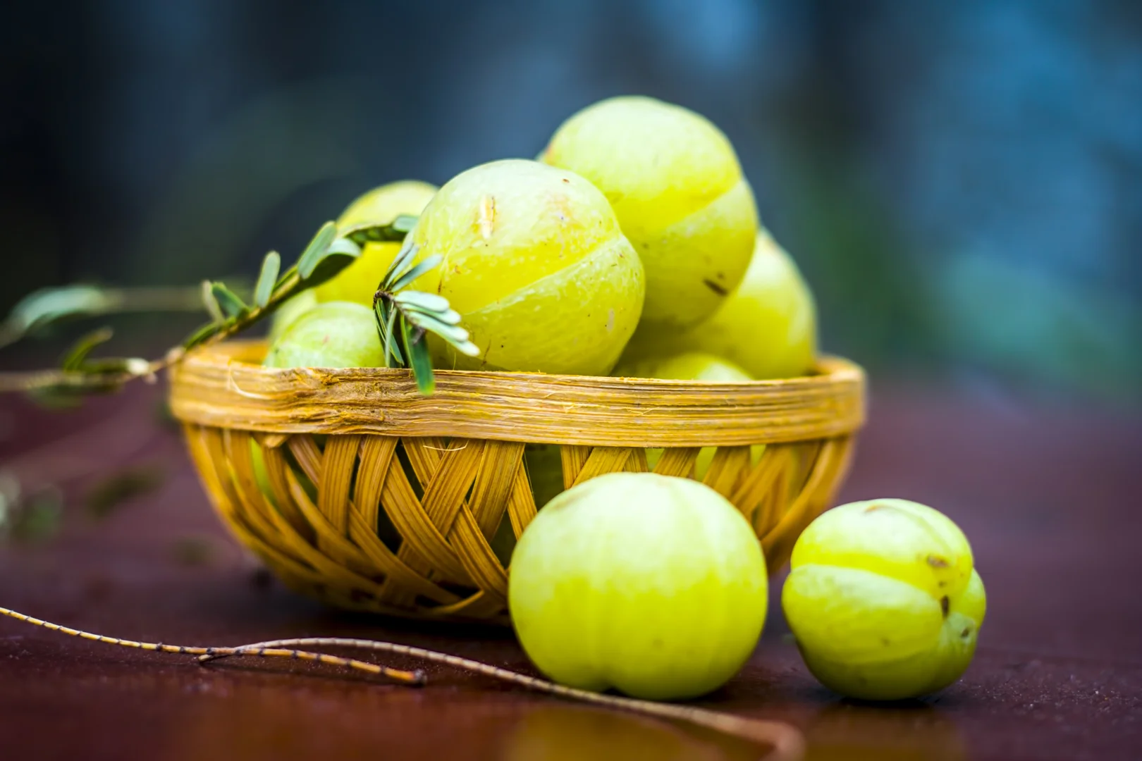 amla.jpg