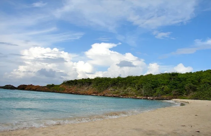 beach_47.JPG
