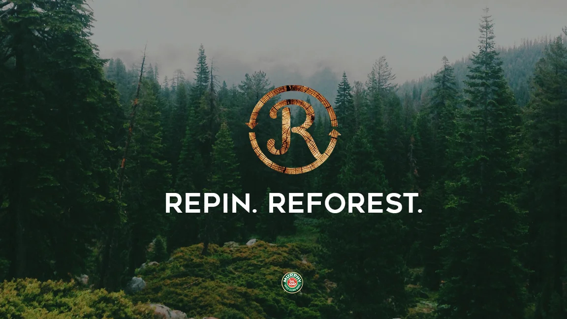 REPIN.jpg