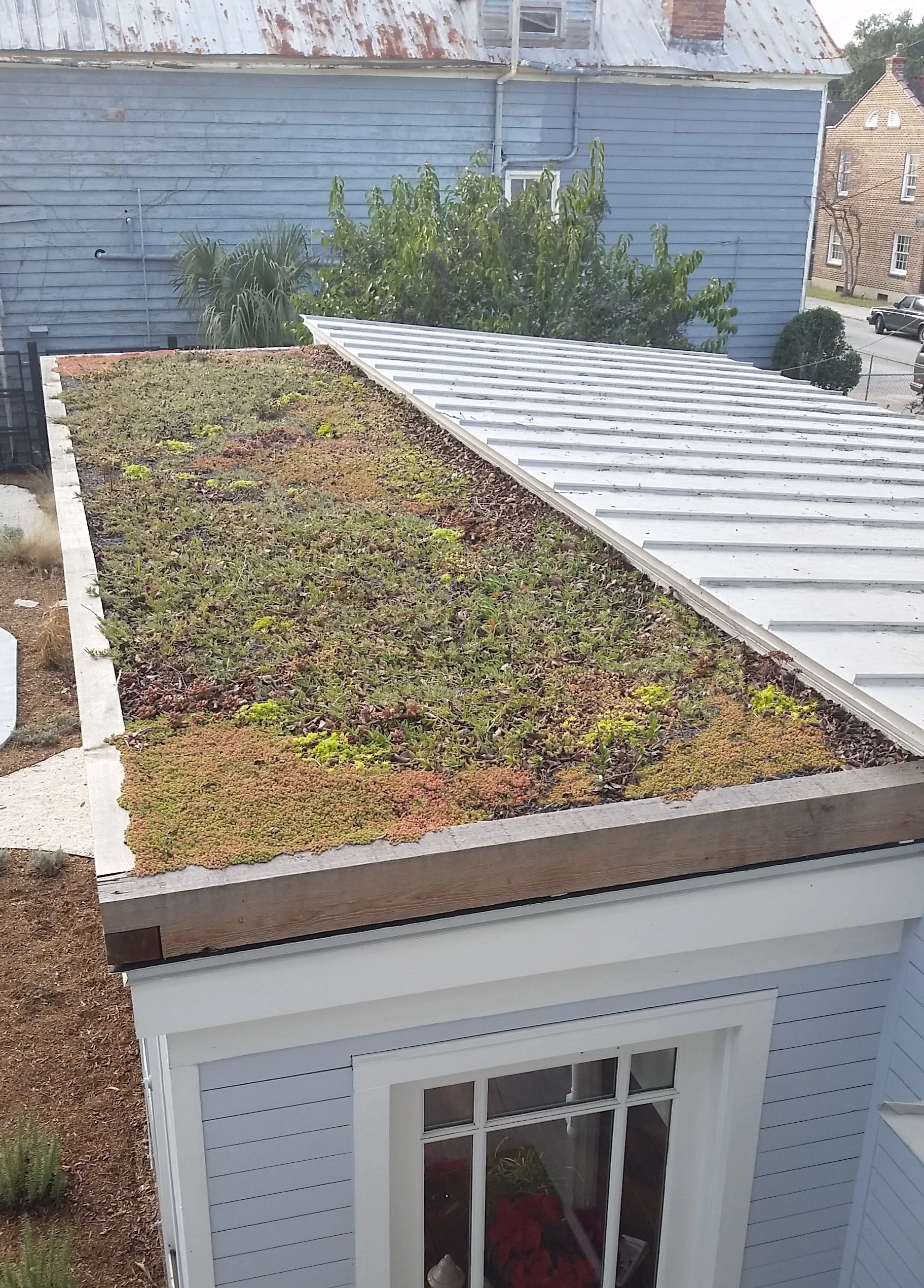roof.jpg